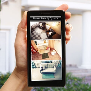 Home Security in Almo, ID